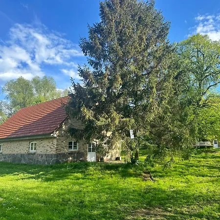 Alvine Sassnitz