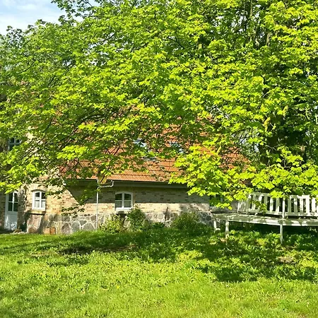 Alvine Sassnitz